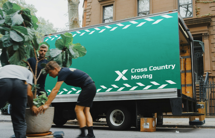 men moving plants